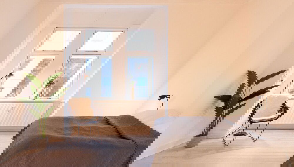 Imagem principal