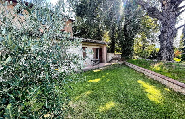 Apt 6 - Magical Grounds With Pool Jacuzzi Sleeps 4 - Photo 61