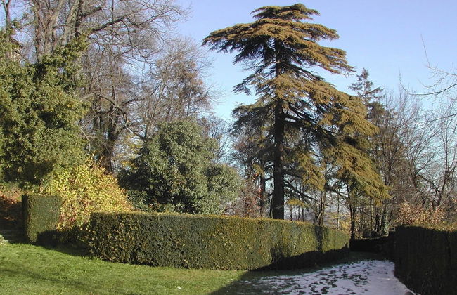 Charming Castle Stay, Robella - Foto 17