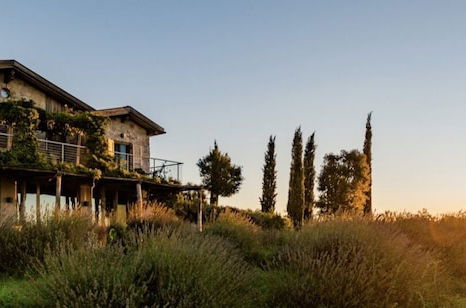 Foto 65 - Valdonica Winery & Vineyard Residence