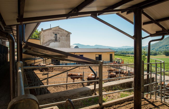 Fattoria Didattica La Collina Incantata - Foto 40