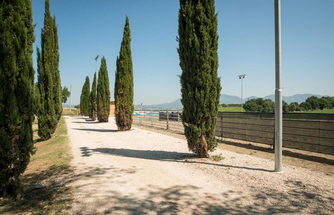 Fattoria Didattica La Collina Incantata - Foto 45