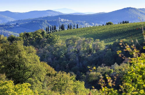 Photo 6 - Colto Dei Pallanti in Radda in Chianti