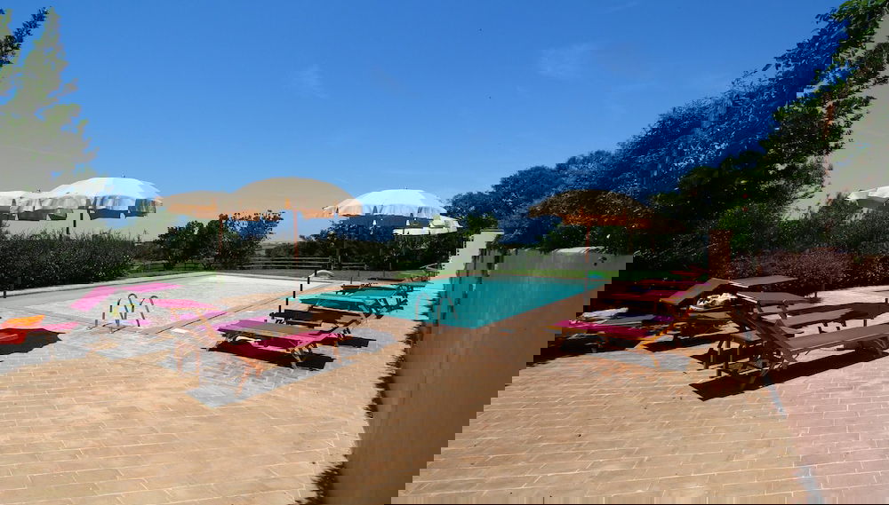 Imagem principal