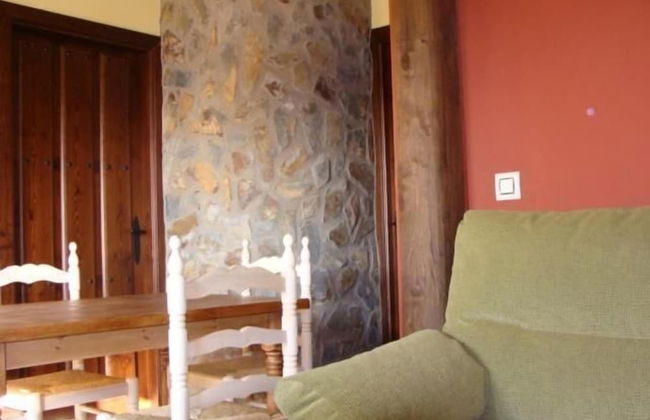 Estudios Manolo - Foto 20