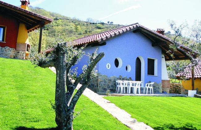 Estudios Manolo - Foto 38
