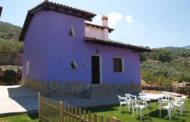 Estudios Manolo - Foto 43