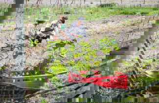 Foto 56 - Hotel Monnàber Vell