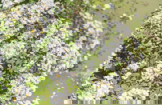 Foto 59 - Hotel Monnàber Vell