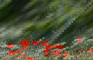 Foto 41 - Hotel Monnàber Vell