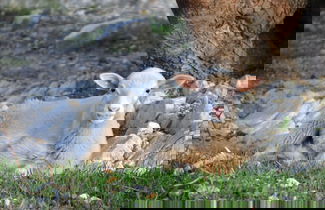 Foto 43 - Hotel Monnàber Vell