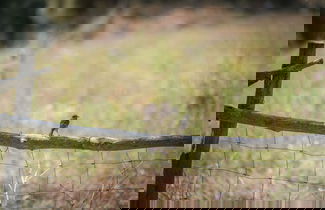 Foto 39 - Hotel Monnàber Vell