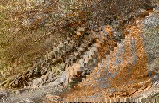 Foto 67 - Hotel Monnàber Vell