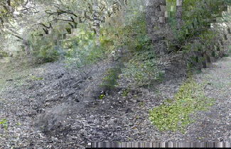 Foto 35 - Hotel Monnàber Vell