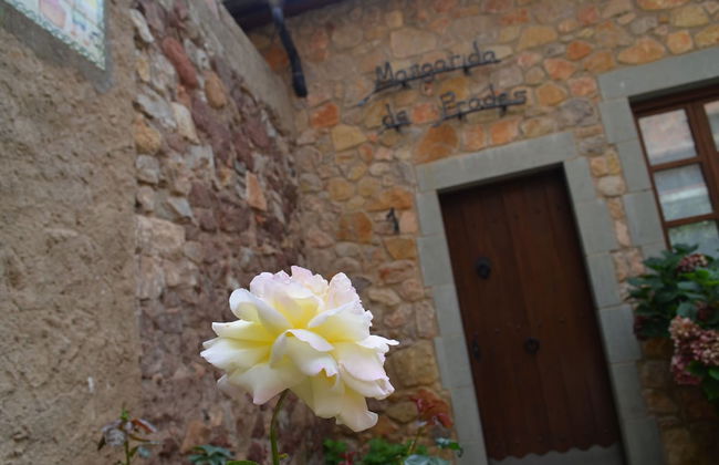 Can Llorenç - Foto 62