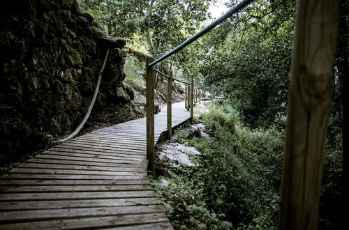 Photo 46 - Lavandeira Douro Nature & Wellness