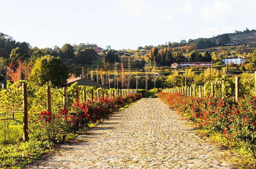 Photo 56 - Lavandeira Douro Nature & Wellness