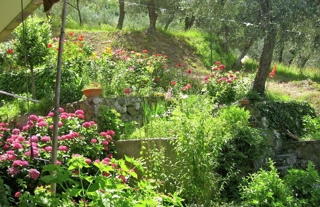 Escape Near Cinque Terre - Foto 17