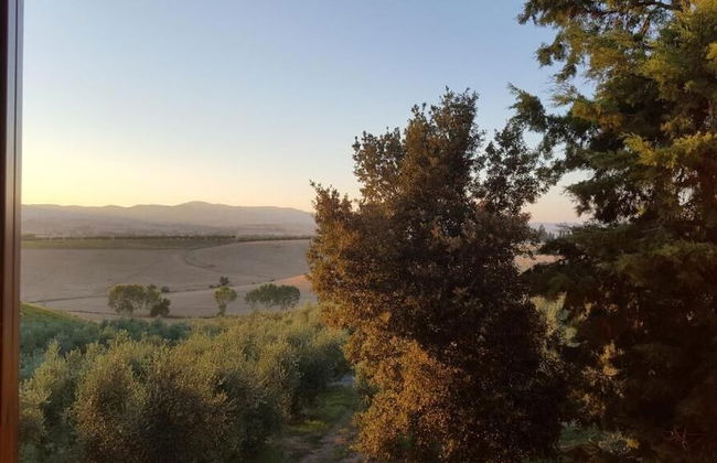 Agriturismo Il Giogo - Foto 35