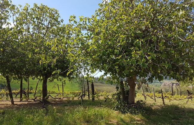 Agriturismo Il Giogo - Foto 38