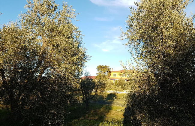 Agriturismo Il Giogo - Foto 37