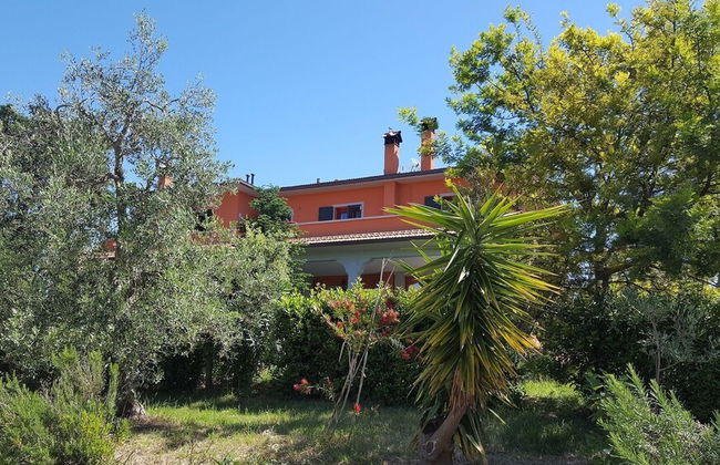 Agriturismo Il Giogo - Foto 45