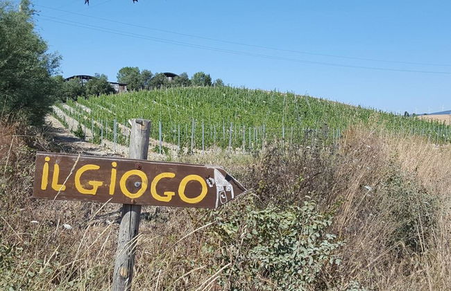 Agriturismo Il Giogo - Foto 51