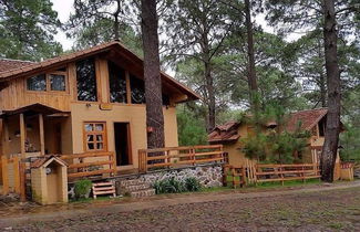 Foto 2 - Cabanas Los Abuelos