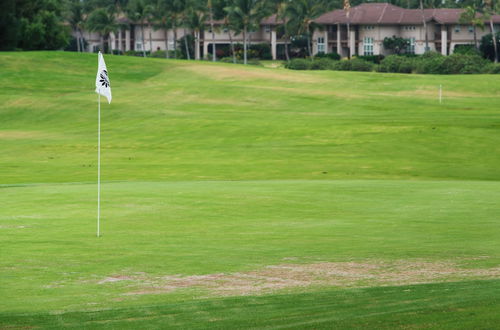 Photo 48 - Waikoloa Colony Villas