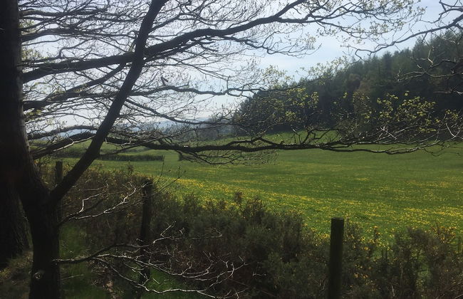 1 Twizell Lane - Foto 42