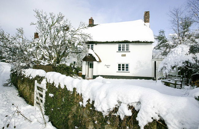 Moorland View Cottage - Foto 16