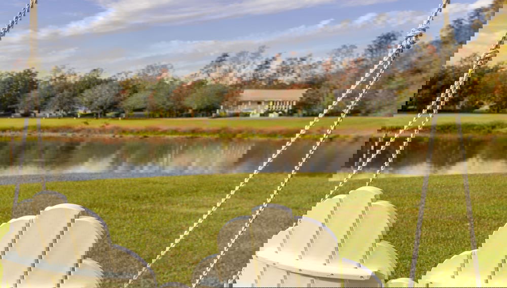 Image principale