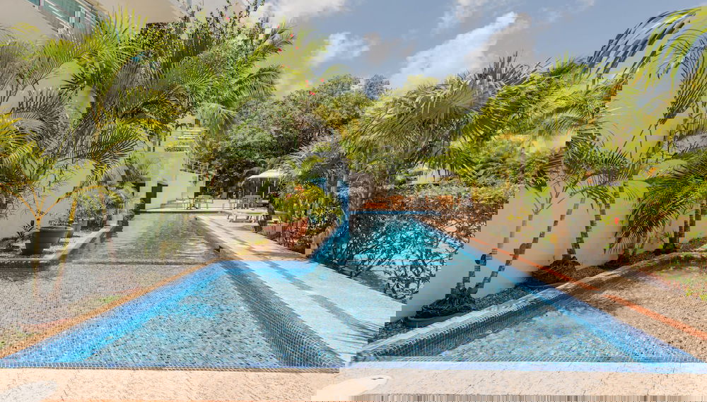 Image principale