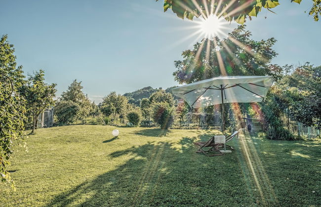 Villa Curte Nicia - Foto 64