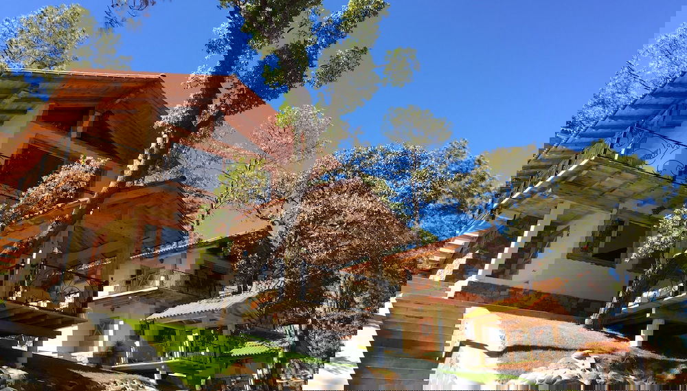 Primary image