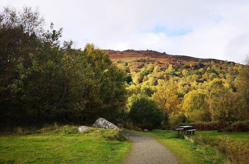 Photo 19 - Private Cottage Bothy Near Loch Lomond & Stirling