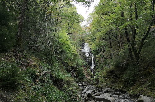 Photo 20 - Private Cottage Bothy Near Loch Lomond & Stirling