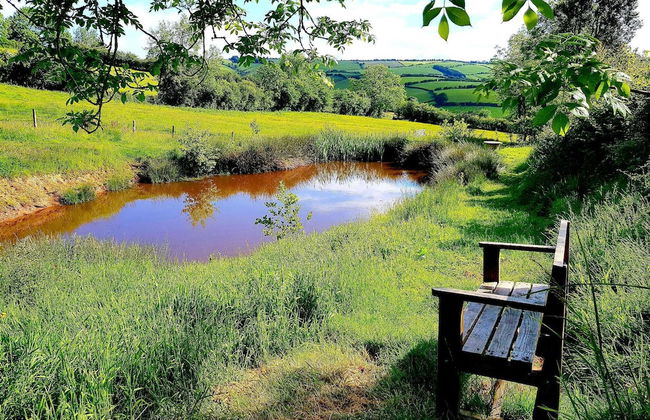 Eco Accommodation Cornflower Holiday - Foto 5