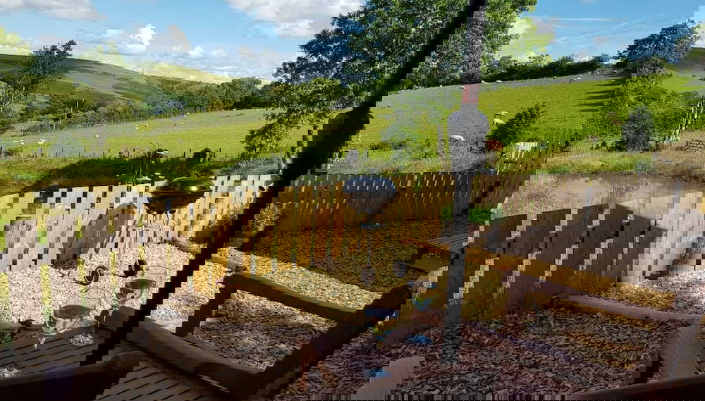 Imagem principal