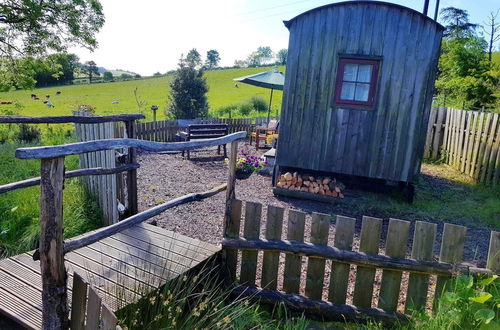 Photo 4 - Eco Accommodation Cornflower Holiday