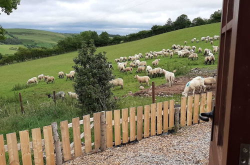 Photo 16 - Eco Accommodation Cornflower Holiday