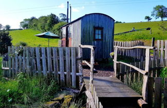 Photo 2 - Eco Accommodation Cornflower Holiday