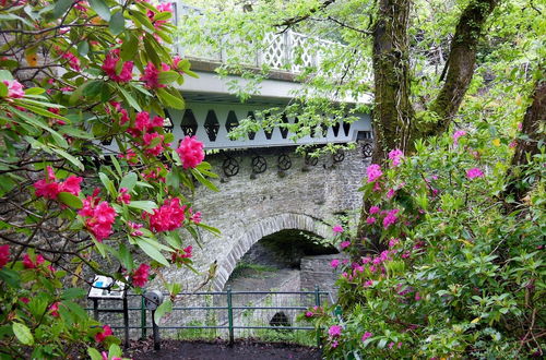 Photo 9 - Broncoedwig Devil's Bridge