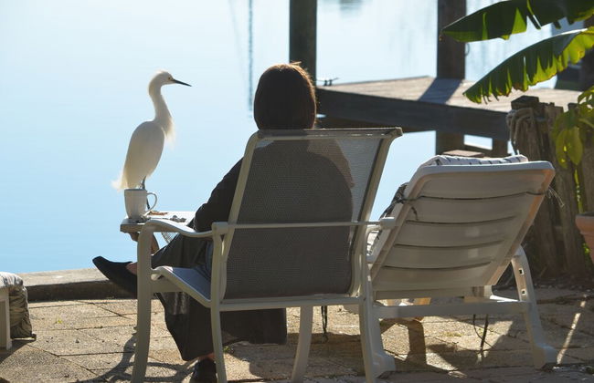 Oasis at John's Pass Madeira Beach - Foto 50