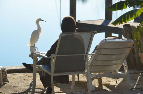 Foto 50 - Oasis at John's Pass Madeira Beach