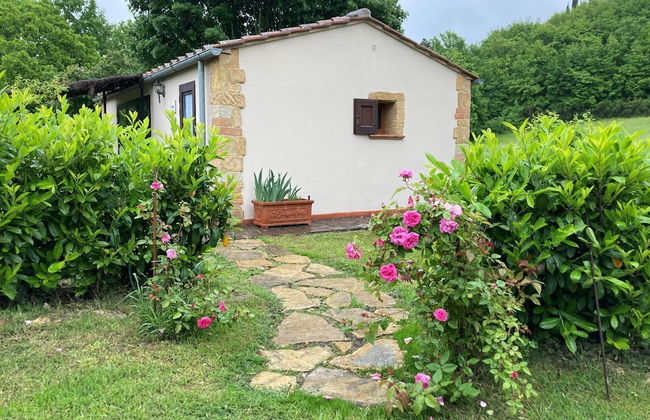 Agriturismo Podere La Paolina - Foto 16