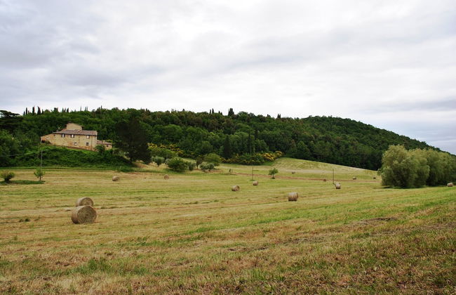 Agriturismo Podere La Paolina - Foto 36