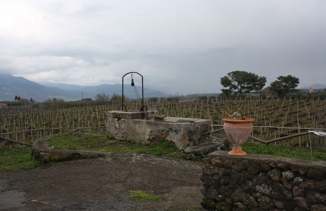 Etna Wine Agriturismo - Foto 35
