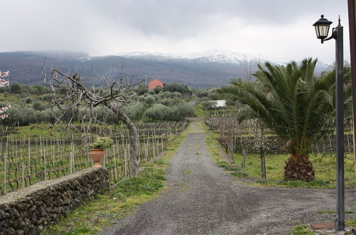 Photo 36 - Etna Wine Agriturismo