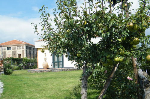 Photo 45 - Etna Wine Agriturismo